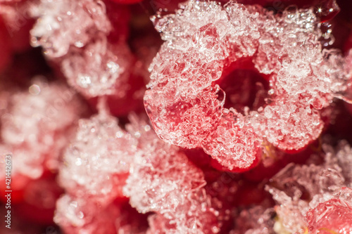 frozen red raspberries macro photo