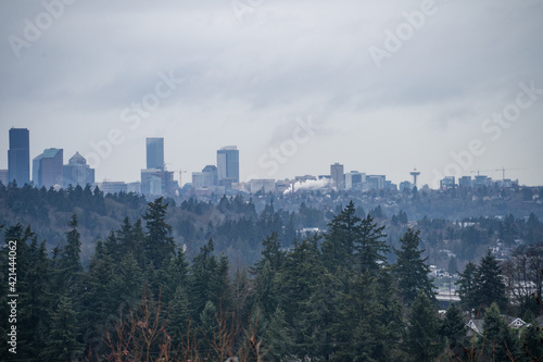 Seattle Cloudy  Skyline photo