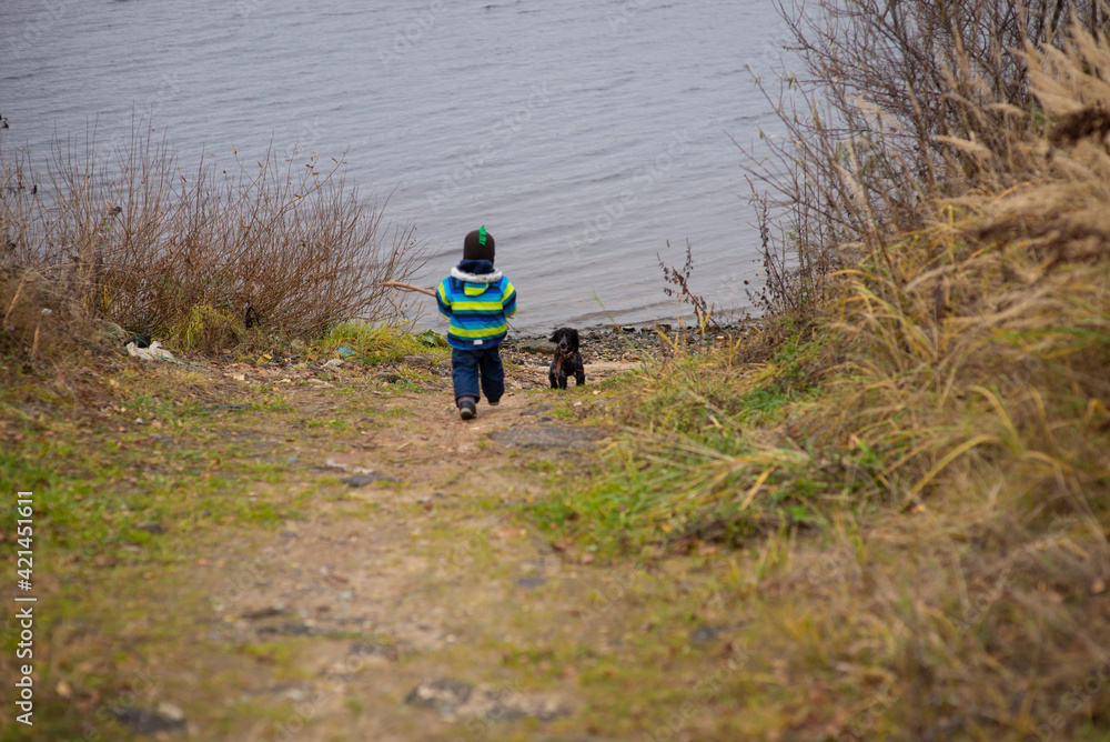 toddler and his dog spaniel walk on the riverbank, selective focus