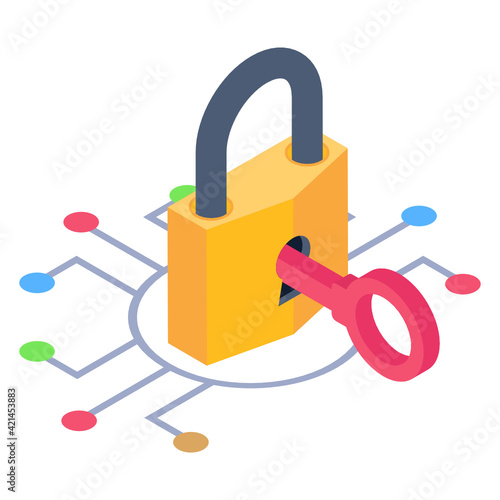 
Key inside padlock with nodes denoting isometric icon of digital key 


