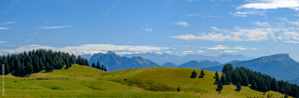 Alpage, prairie des montagnes dans les Alpes, là où l'on trouve les meilleurs fromages. Plateau du Semnoz, Massif des bauges