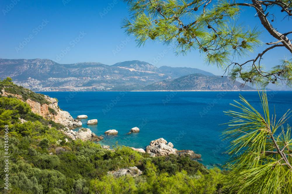 Mediterranean sea coast, Nature of Turkey, bright green pine tree branches on foreground, Kalkan town seen in the distance, View from Lycian way hiking trail