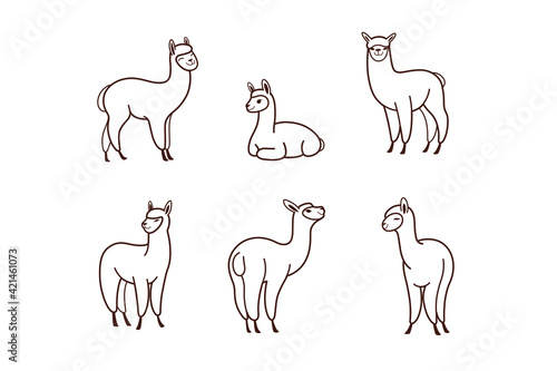 Fototapeta Naklejka Na Ścianę i Meble -  Cartoon alpaca in various poses. Сute animals set of icons. Contour vector illustration.