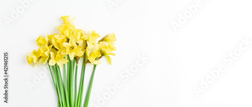 Fototapeta Naklejka Na Ścianę i Meble -  beautiful minimalistic layout for spring greeting card, invitation, banner on white background. composition of yellow fresh flowers of daffodils with place for text. simple flat lay