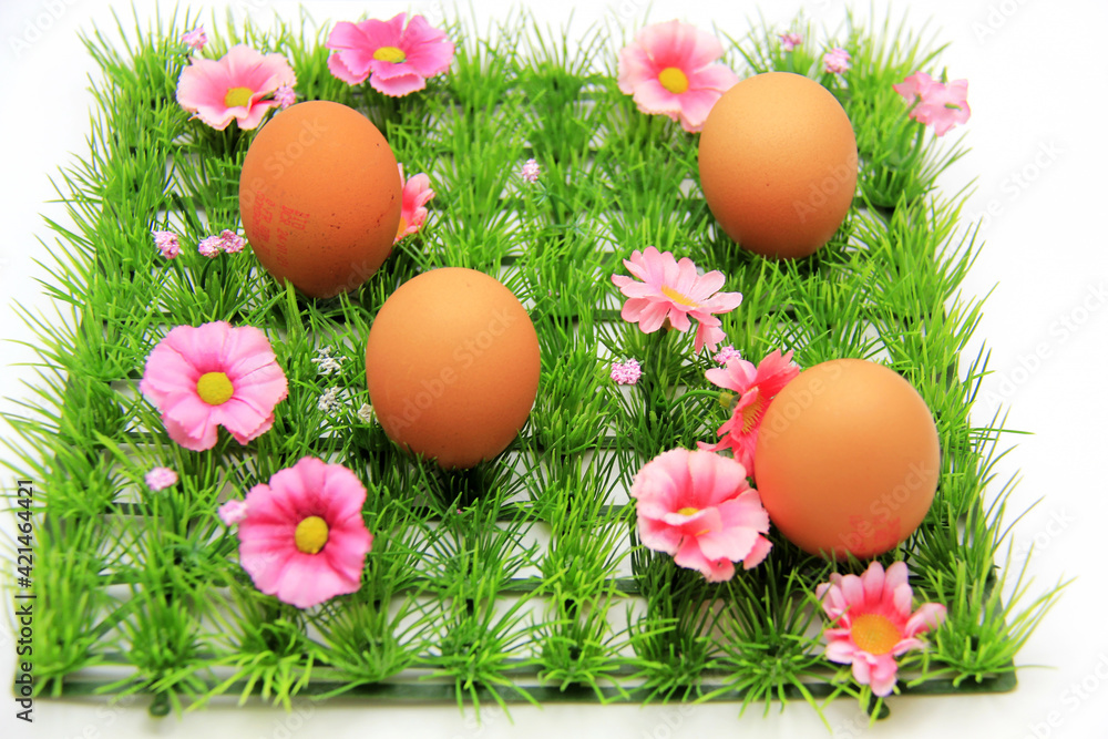 4 oeufs pondus sur le gazon 4 oeufs pondus sur le gazon