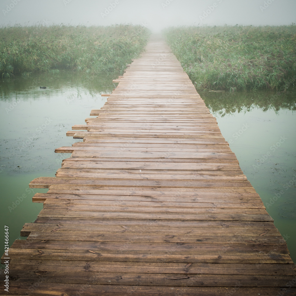 Obraz premium wooden bridge in the lake