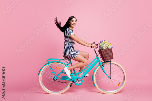 Fototapeta Naklejka Na Ścianę i Meble -  Full length body size profile side view of attractive cheerful girl riding vintage blue bike having fun isolated on pink pastel color background