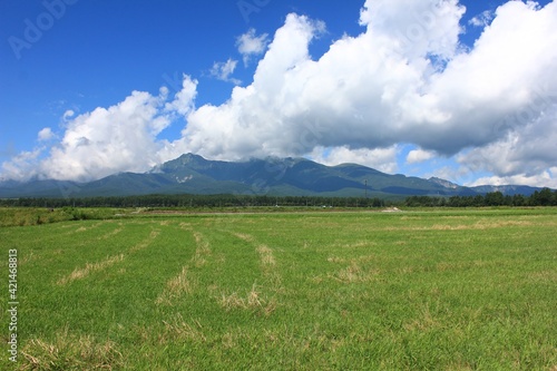 高原の風景。　野辺山高原から見る八ヶ岳。 © onaka