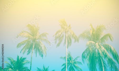 Banner View of Tropic of Palm trees at tropical beach coast and swimming pool which summer holiday concept background