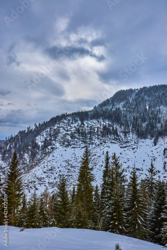 Fototapeta Naklejka Na Ścianę i Meble -  Beautiful winter landscape in the mountains, Bucegi Mountains Romania.