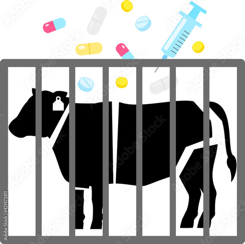 食肉用の牛と抗生物質投与のイメージ