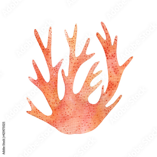 Watercolor hand drawing coral isolated on white background. Undersea world. Marine inhabitants. Beach.