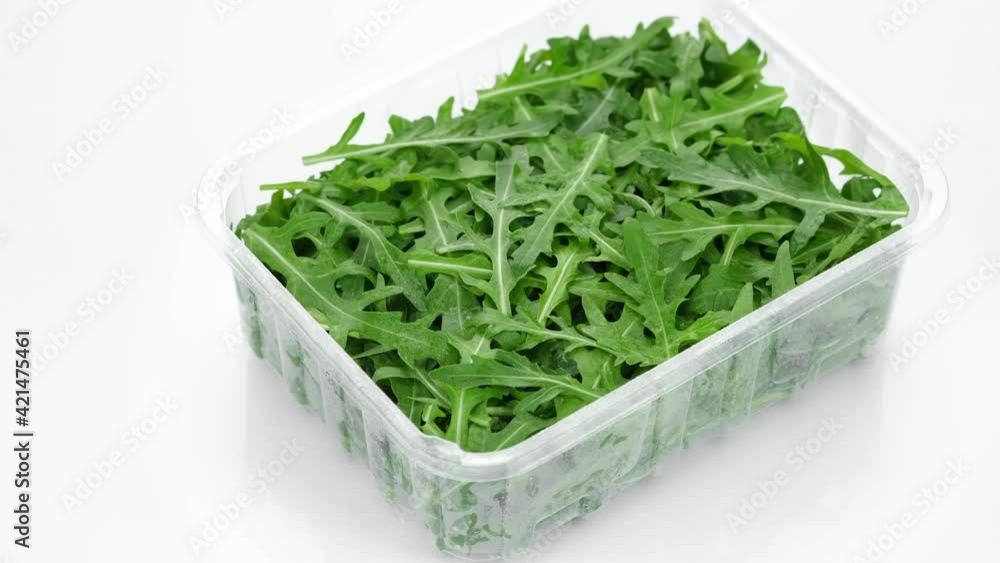 fresh arugula in container for delivery or sale on white background fresh arugula in container for delivery or sale on white background