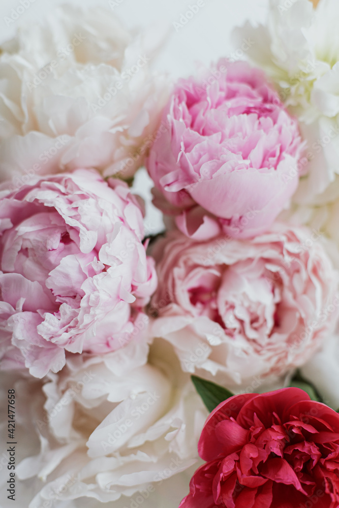 Beautiful lovely peonies bouquet closeup. Pink and white peony flowers. Mothers day. Wedding bouquet Beautiful lovely peonies bouquet closeup. Pink and white peony flowers. Mothers day. Wedding bouquet
