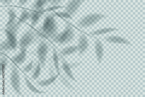 Transparent shadow of leaves isolated on transparent background. Realistic shadow effect, floral shadow