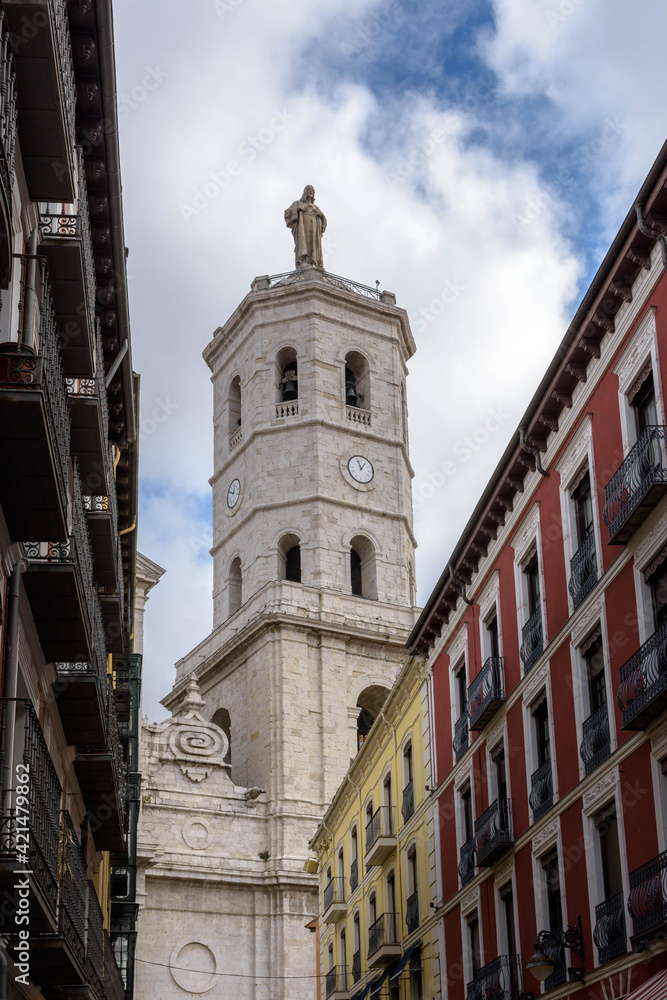 Tower of the cathedral of Valladolid. Castile and Leon, Spain