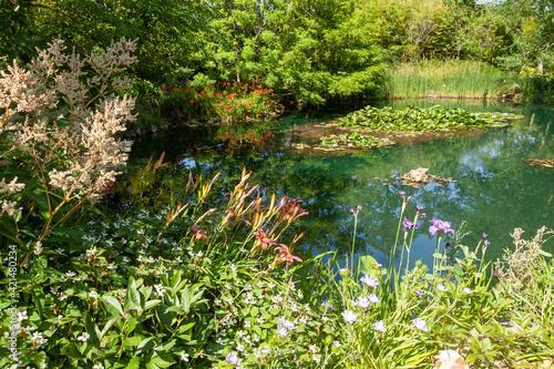 Tableau sur toile Aménagement d'une zone humide dans un jardin - étang avec des nénuphars, lis d'e