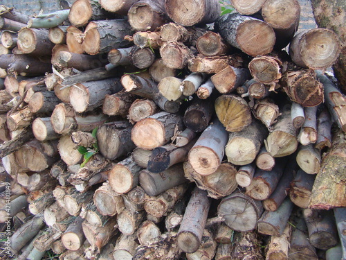 stack of firewood