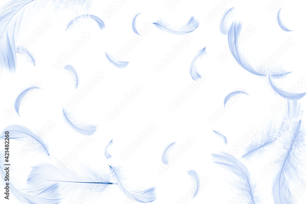Feather banner. Pastel angel feather in pattern texture falling on white background. Glamorous sophisticated airy artistic image isolated on white. Feather banner. Pastel angel feather in pattern texture falling on white background. Glamorous sophisticated airy artistic image isolated on white.