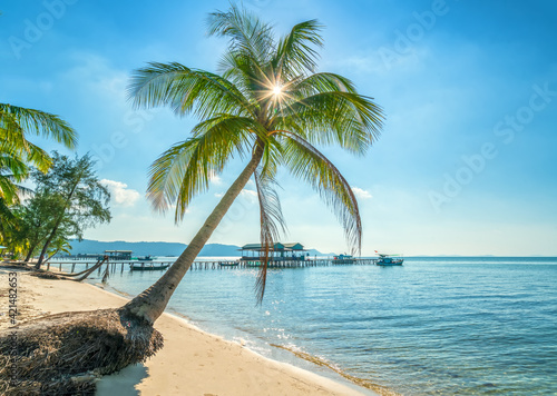 Sunny seascape with tropical palms on beautiful sandy beach in Phu Quoc island, Vietnam. This is one of the best beaches of Vietnam.
