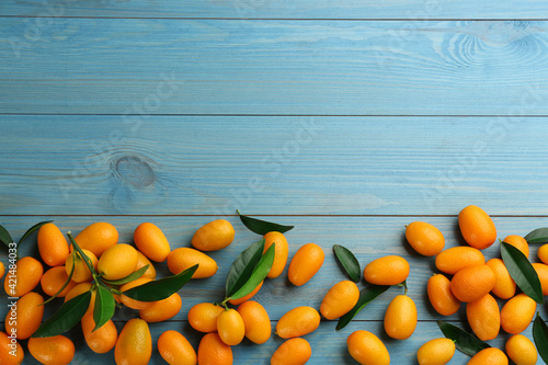 Fresh ripe kumquats on light blue wooden table, flat lay. Space for text