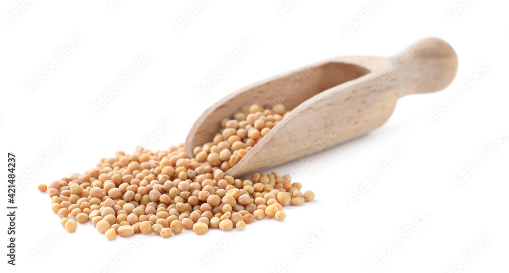 Mustard seeds with wooden scoop isolated on white Mustard seeds with wooden scoop isolated on white