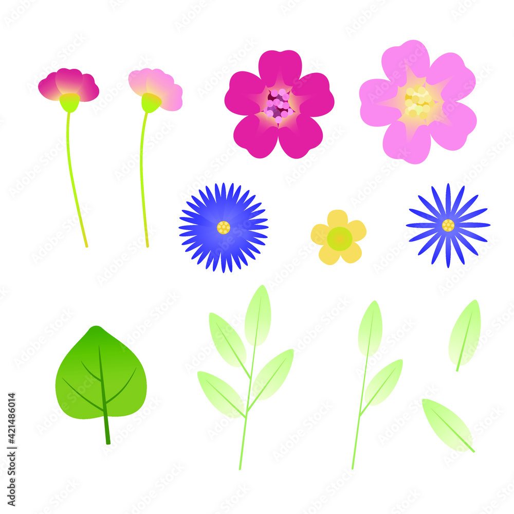 A set of bright flowers, leaves and buds. Vector illustration. A set of bright flowers, leaves and buds. Vector illustration.