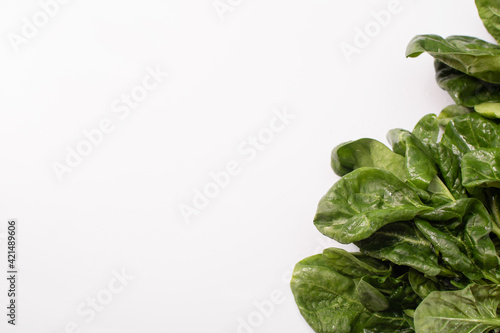 Fresh green spinach. Close-up on a white background. mock up