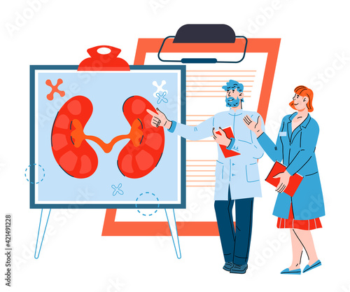 Doctors pointing at banner with image of human kidneys, cartoon vector illustration isolated on white background. Pyelonephritis, kidney diseases and stones treatment and surgery.
