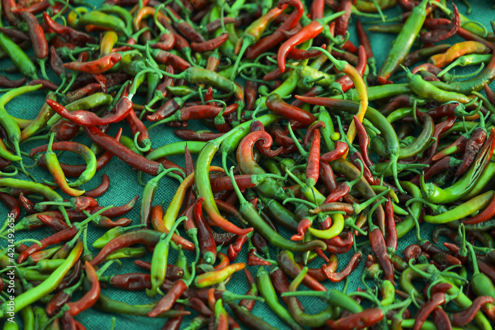 Green chilli peppers in Indian market