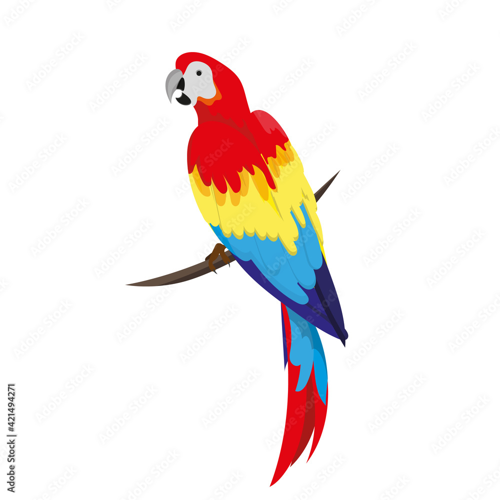 Fototapeta premium A macaw parrot sits on a verka. A tropical red parrot sits on a branch in half a turn. Summer design element.
