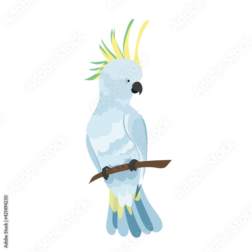 A cockatoo parrot sits on a branch. A white tropical parrot sits on a branch. An element of summer design.