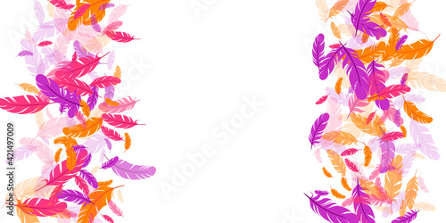 Orange purple pink red feather floating background