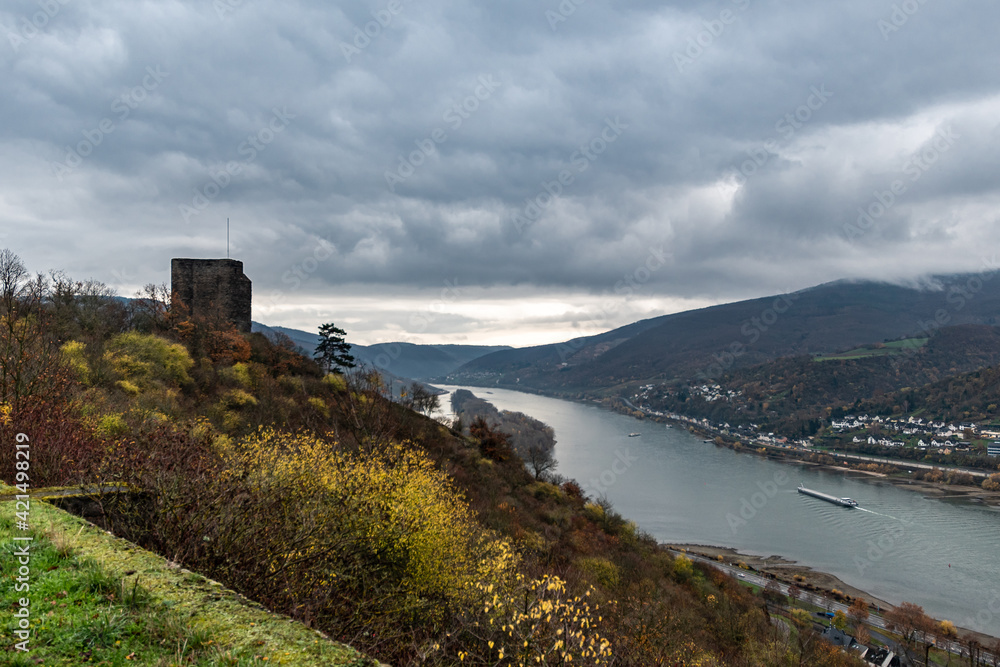 Obraz premium Rheingau