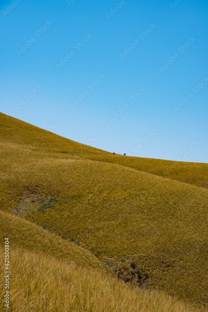 Minimalist scene of hills against a blue sky in the Drakensburg, South Africa. October 2019