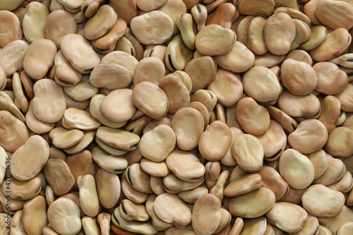 Photography dried broad beans background