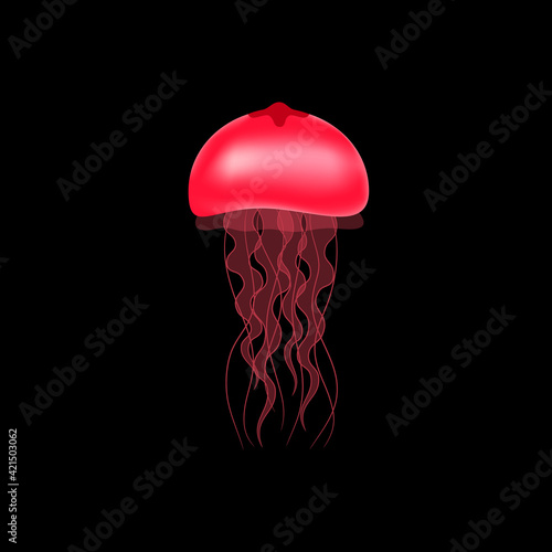 Red jellyfish on a black background. Vector illustration.