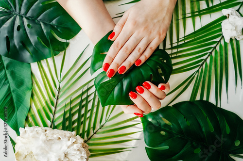 Fototapeta Manicured woman's nails with red nail polish.