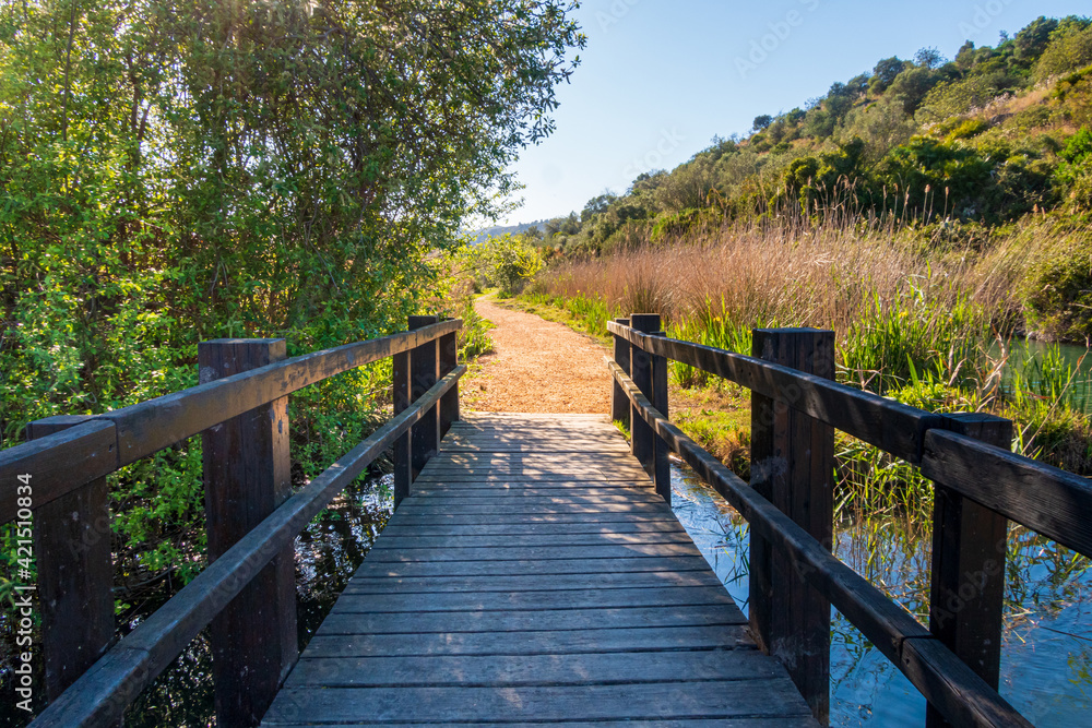 Obraz premium Narrow wooden bridge over a river, with a dirt road, in a natural setting, with a blue sky.