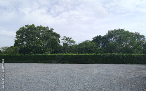 Parking lot sprinkled with gravel on tree bush nature background photo