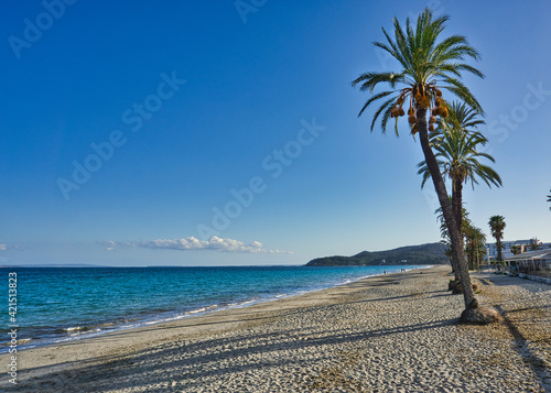IBIZA, SPAIN, 13 March 2021, Mediterranean seaside landscape view on a sandy beach with beautiful blue sky and palm tree