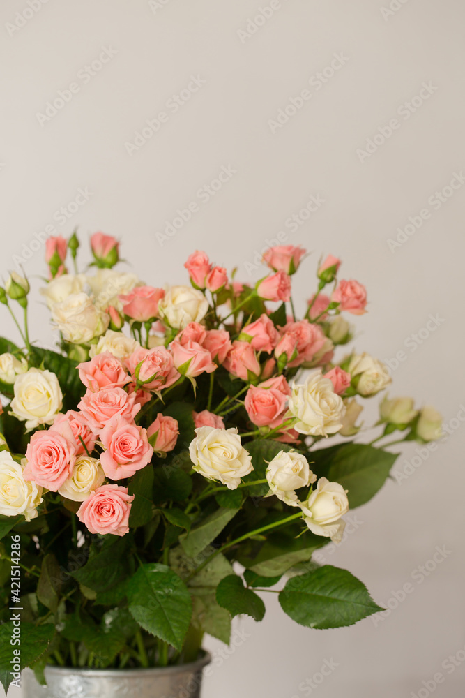 Bouquet of small delicate pink and cream roses Bouquet of small delicate pink and cream roses