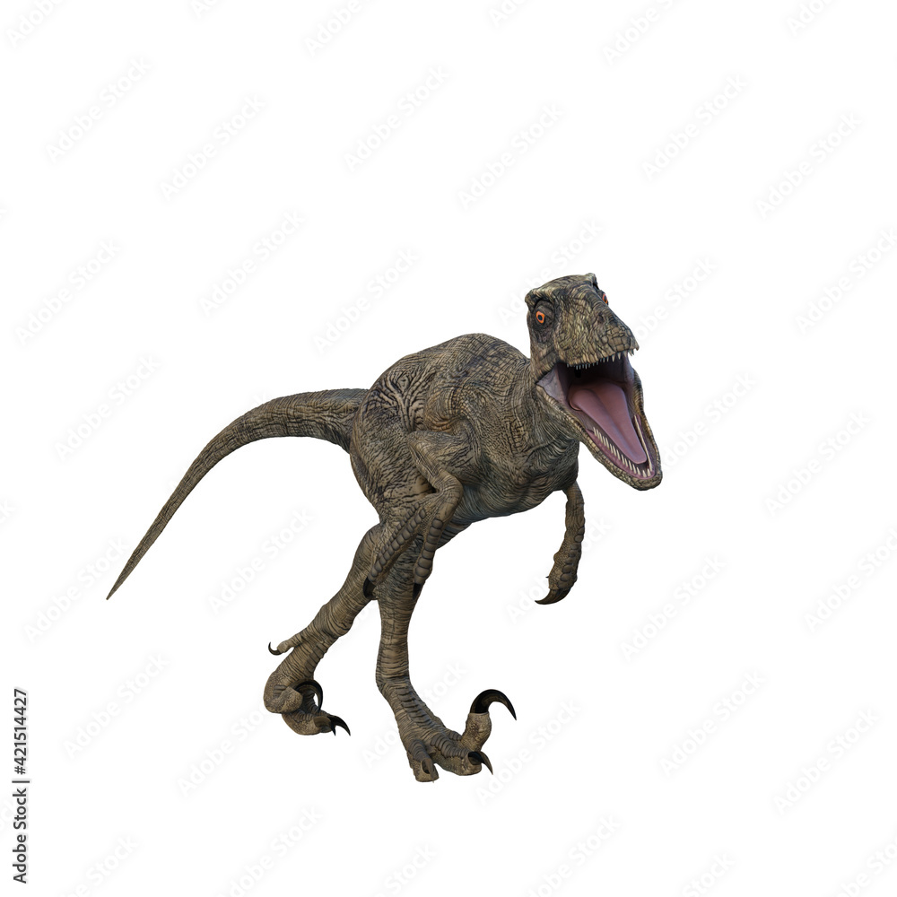 Obraz premium Deinonychus dinosaur. 3D illustration isolated on white background.