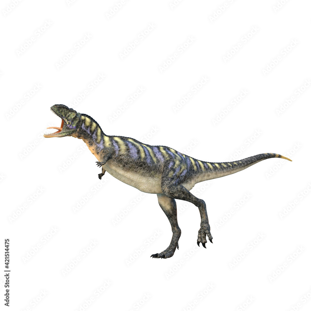 Aucasaurus dinosaur with mouth open. 3D illustration isolated on white background. Aucasaurus dinosaur with mouth open. 3D illustration isolated on white background.