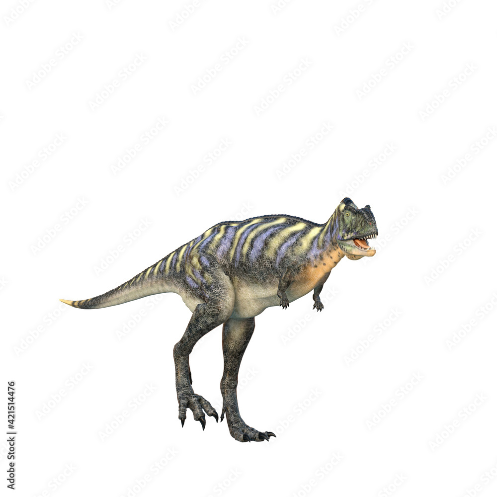 Aucasaurus dinosaur walking. 3D illustration isolated on white background. Aucasaurus dinosaur walking. 3D illustration isolated on white background.