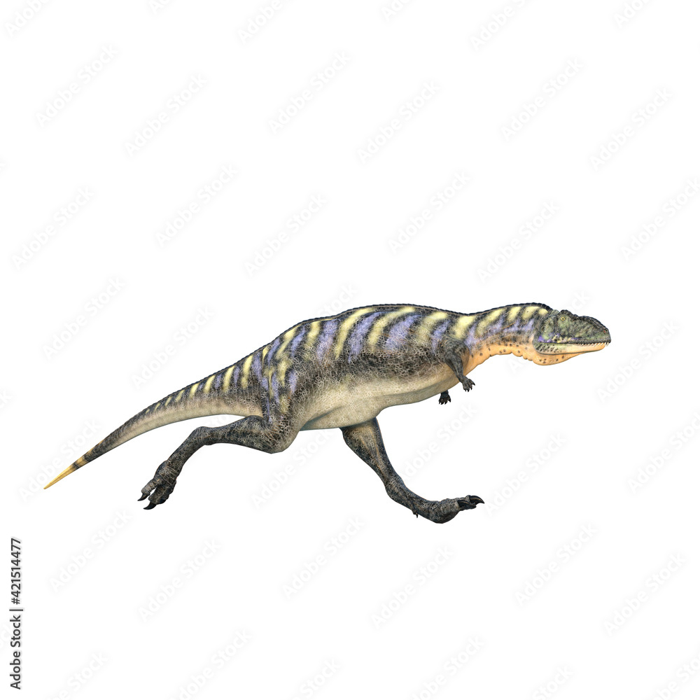 Aucasaurus dinosaur running. 3D illustration isolated on white background. Aucasaurus dinosaur running. 3D illustration isolated on white background.
