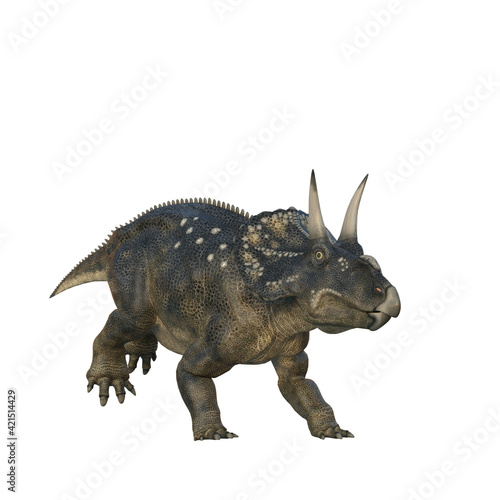 Nedoceratops dinosaur, originally know as Diceratops. 3D illustration isolated on white background. © IG Digital Arts