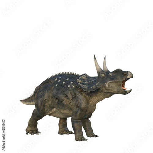 Roaring Nedoceratops dinosaur  originally know as Diceratops. 3D illustration isolated on white background.