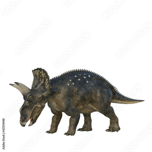 Grazing Nedoceratops dinosaur  originally know as Diceratops. 3D illustration isolated on white background.