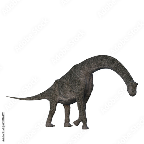 Brachiosaurus Jurassic dinosaur. 3D illustration isolated on white background.